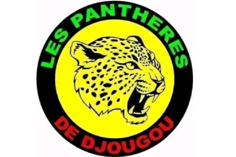 Panthères FC