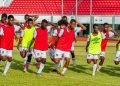 Guépards U17