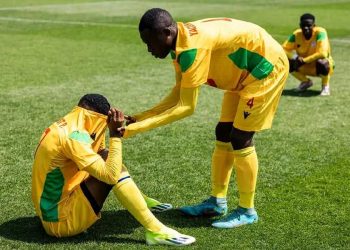 Les Guépards Scolaires