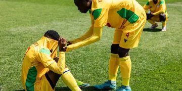 Les Guépards Scolaires