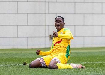 Les Guepards Scolaires