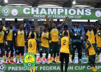 El Kanemi Warriors FC