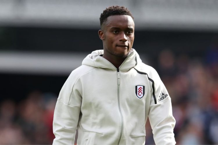 Steven Sessegnon