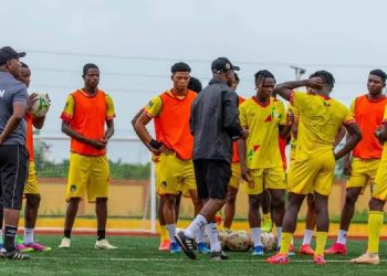 Les Guépards Locaux