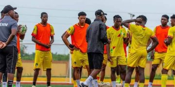 Les Guépards Locaux