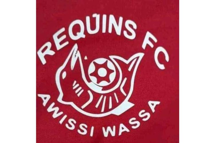 FC Requins