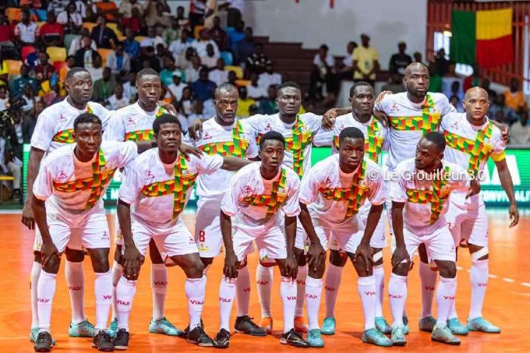 Les Guépards du Bénin