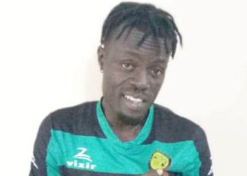 Panthères de Djougou