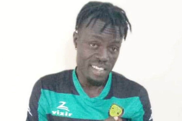 Panthères de Djougou