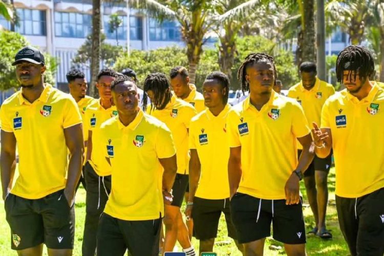 Deux Guépards incertains pour la rencontre décisive contre l’Afrique du Sud