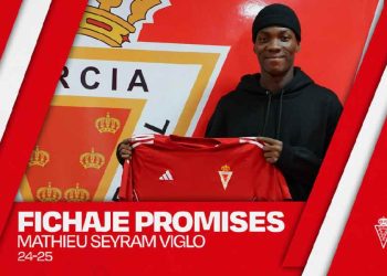 Mathieu Seyram Viglo