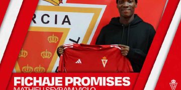 Mathieu Seyram Viglo