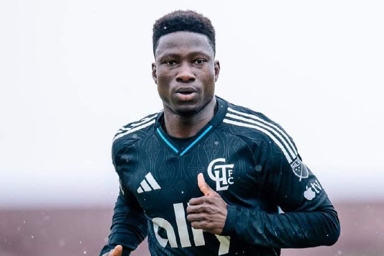 𝗥𝗼𝗱𝗼𝗹𝗳𝗼 𝗔𝗹𝗼𝗸𝗼